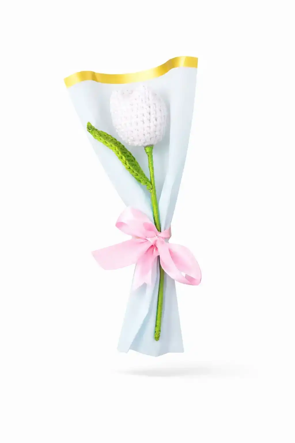 Tulip Flower 6
