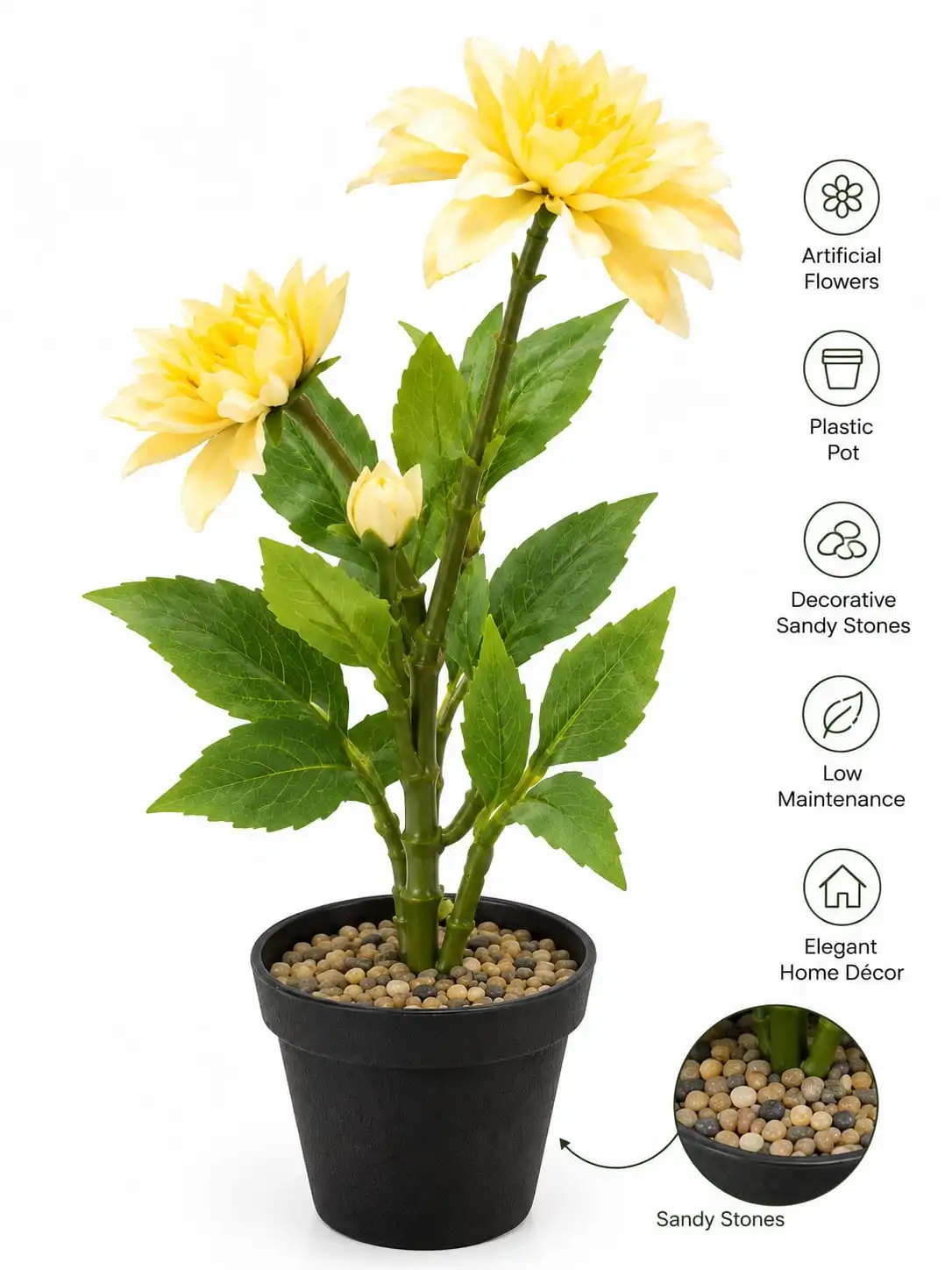 Chraysanthemum Flower Pot 2