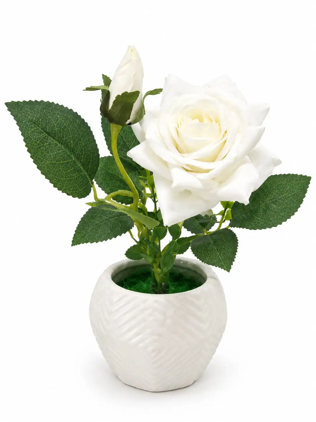 Rose Flower Pot 1