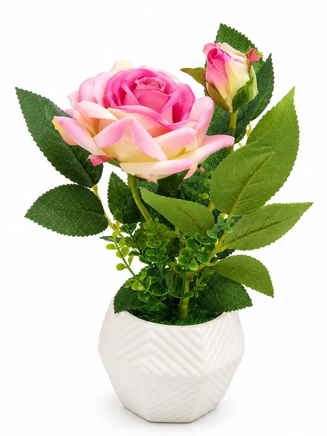 Rose  Flower Pot 2